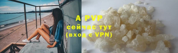 крисы Вязьма