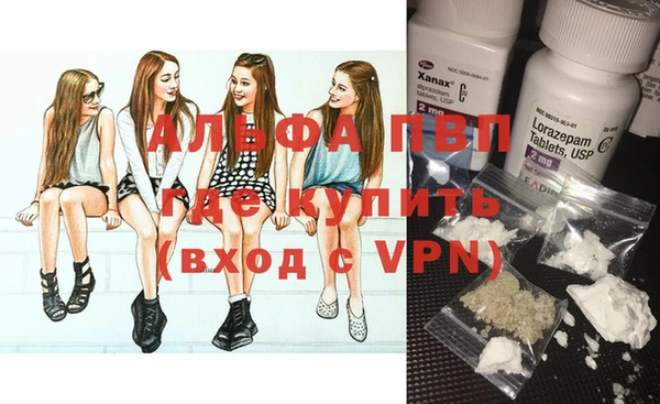 крисы Вязьма