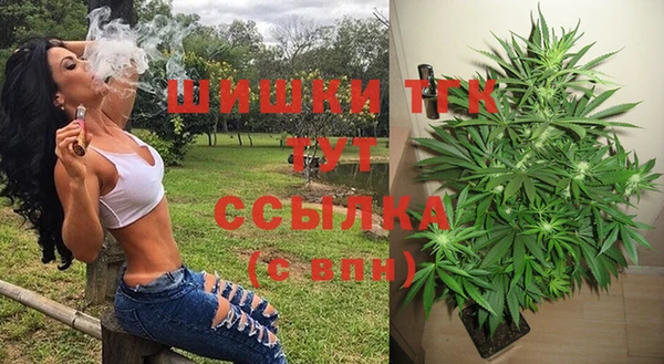 крисы Вязьма