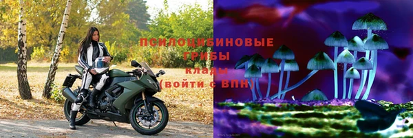 крисы Вязьма