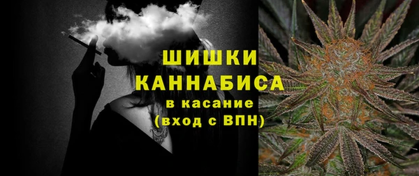 крисы Вязьма