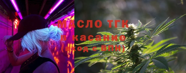 гидра Горнозаводск