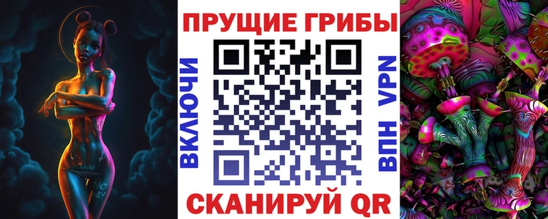 Купить  Сухой Лог  Галлюциногенные грибы Psilocybe 